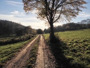 devimata_yoga-wochende-kloster-2014_01