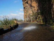 yoga-reise-madeira_devimata_2015_028