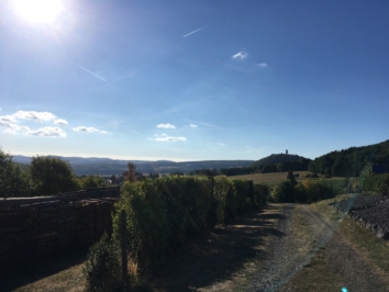 Yogawochenende in der Eifel September 2021.