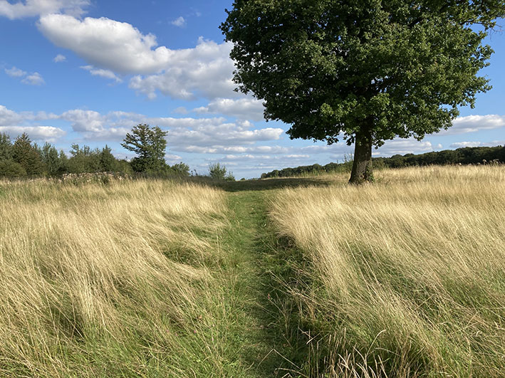 Yogawochenende in der Eifel. 13.-15.9.2024