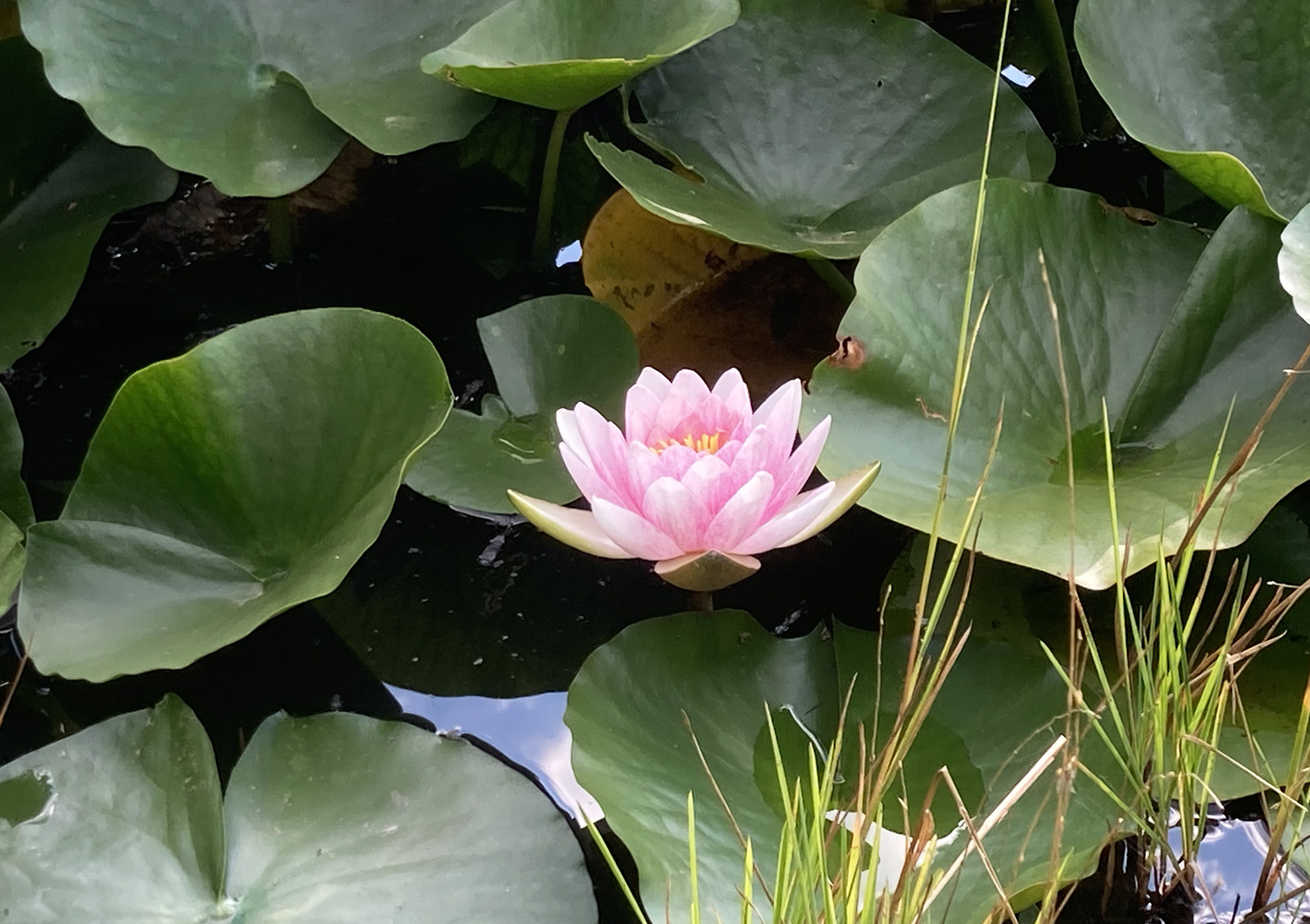 Yogawochenende in der Eifel. 03.-06.04.2025 Ausgebucht